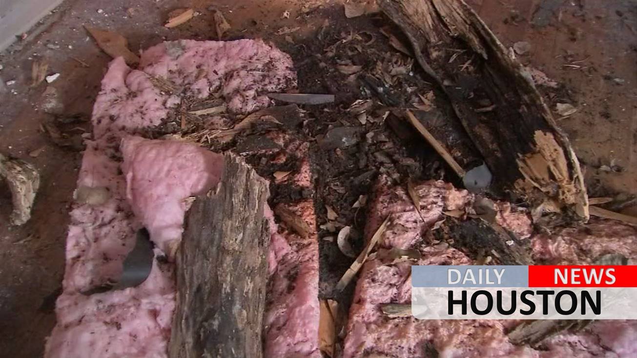 81-year-old woman in housing limbo over city program