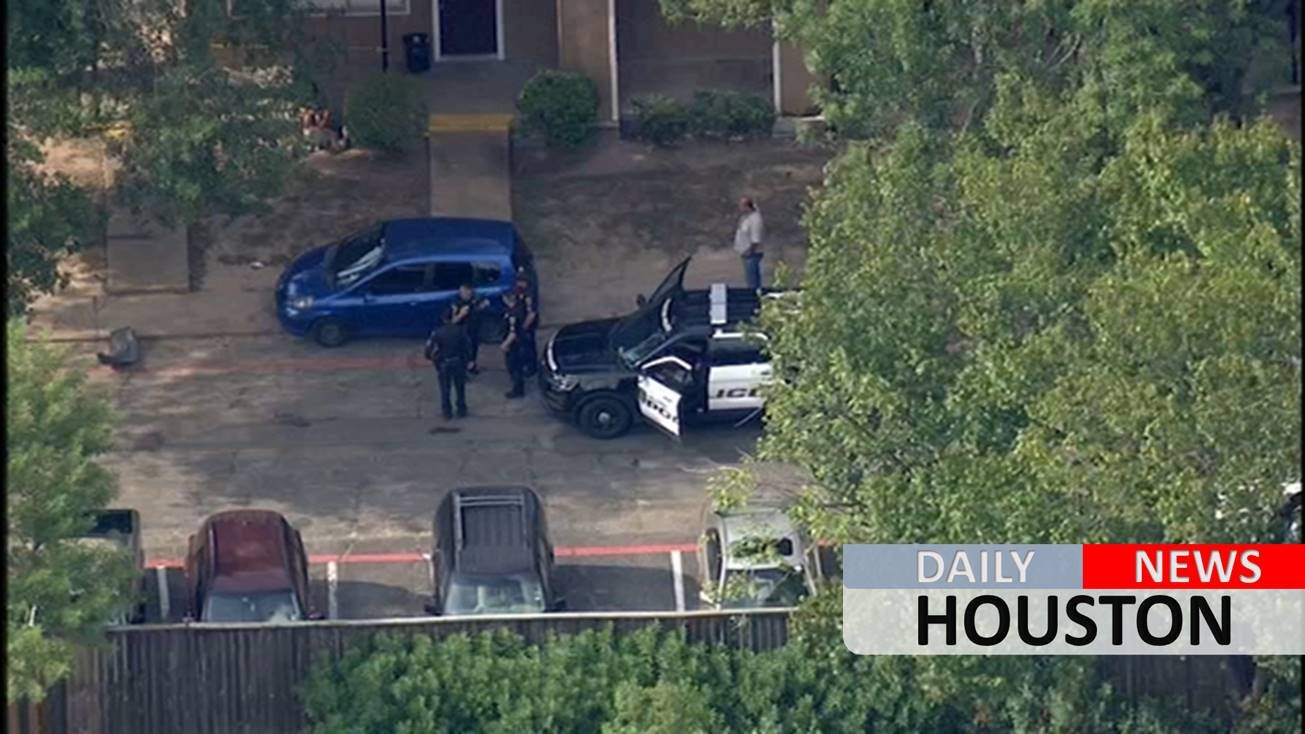 Man and dog killed by 12-year-old girl driving car in SW Houston