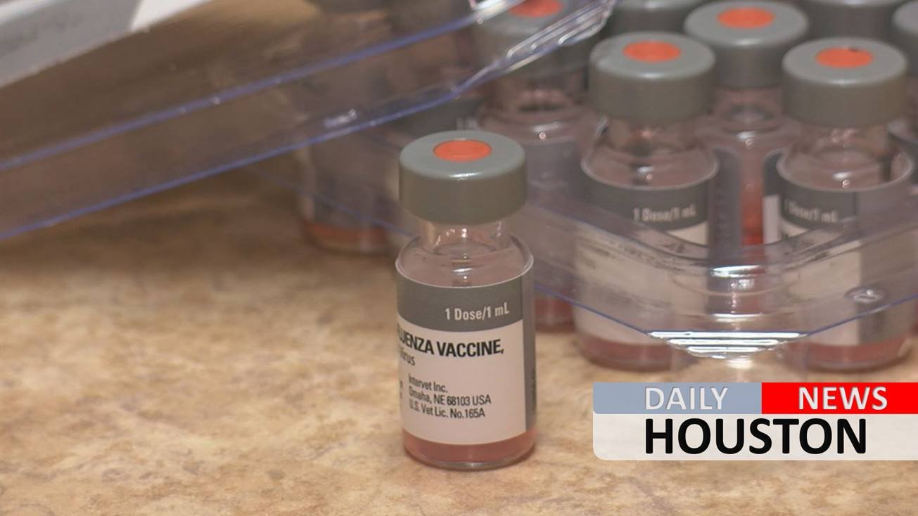 Houston boy died of flu, becoming city’s first flu-related pediatric death of season