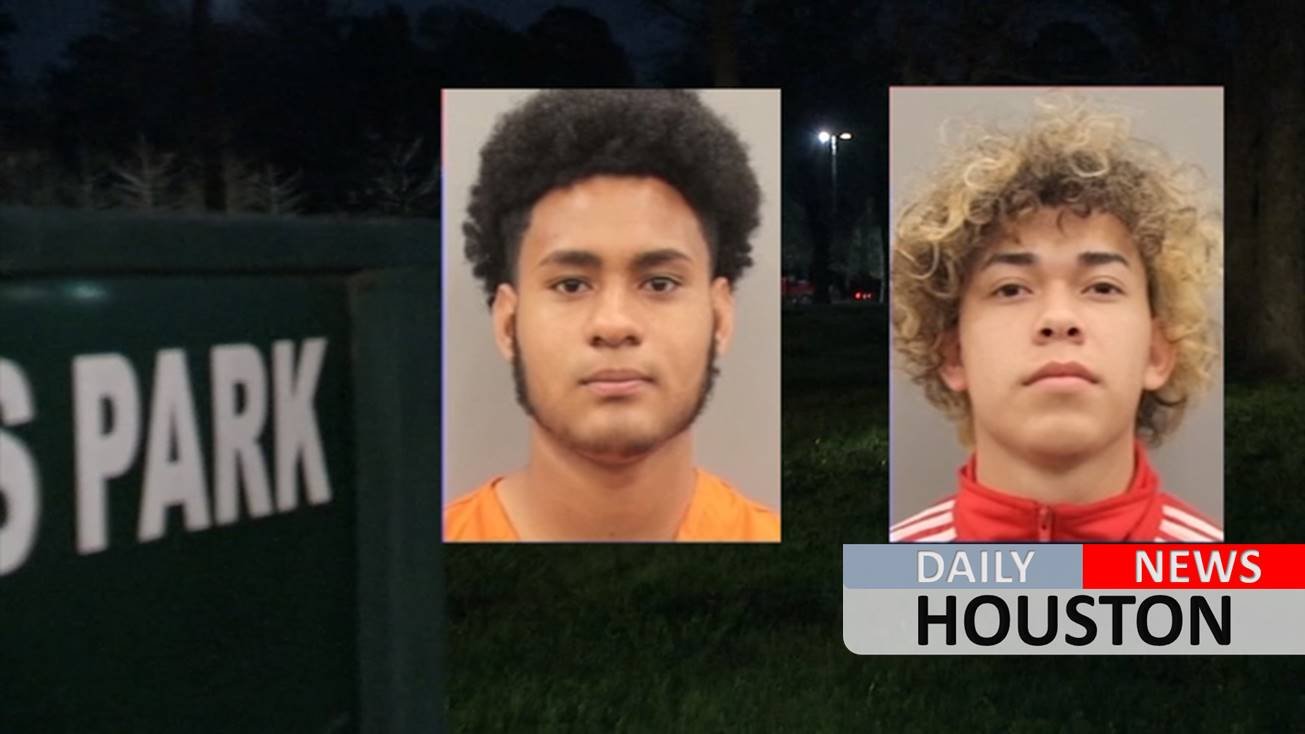 Armed gang accused of terrorizing and beating people at park