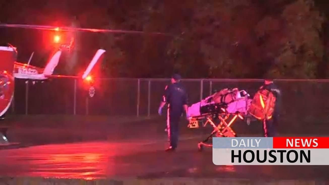 Man struck by lightning while walking his dogs in Spring