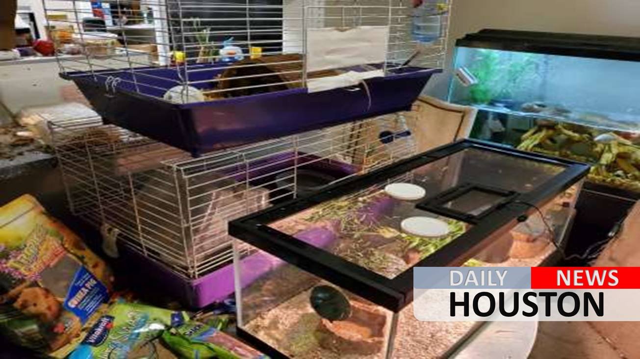 More than 40 exotic pets abandoned in SW Houston apartment