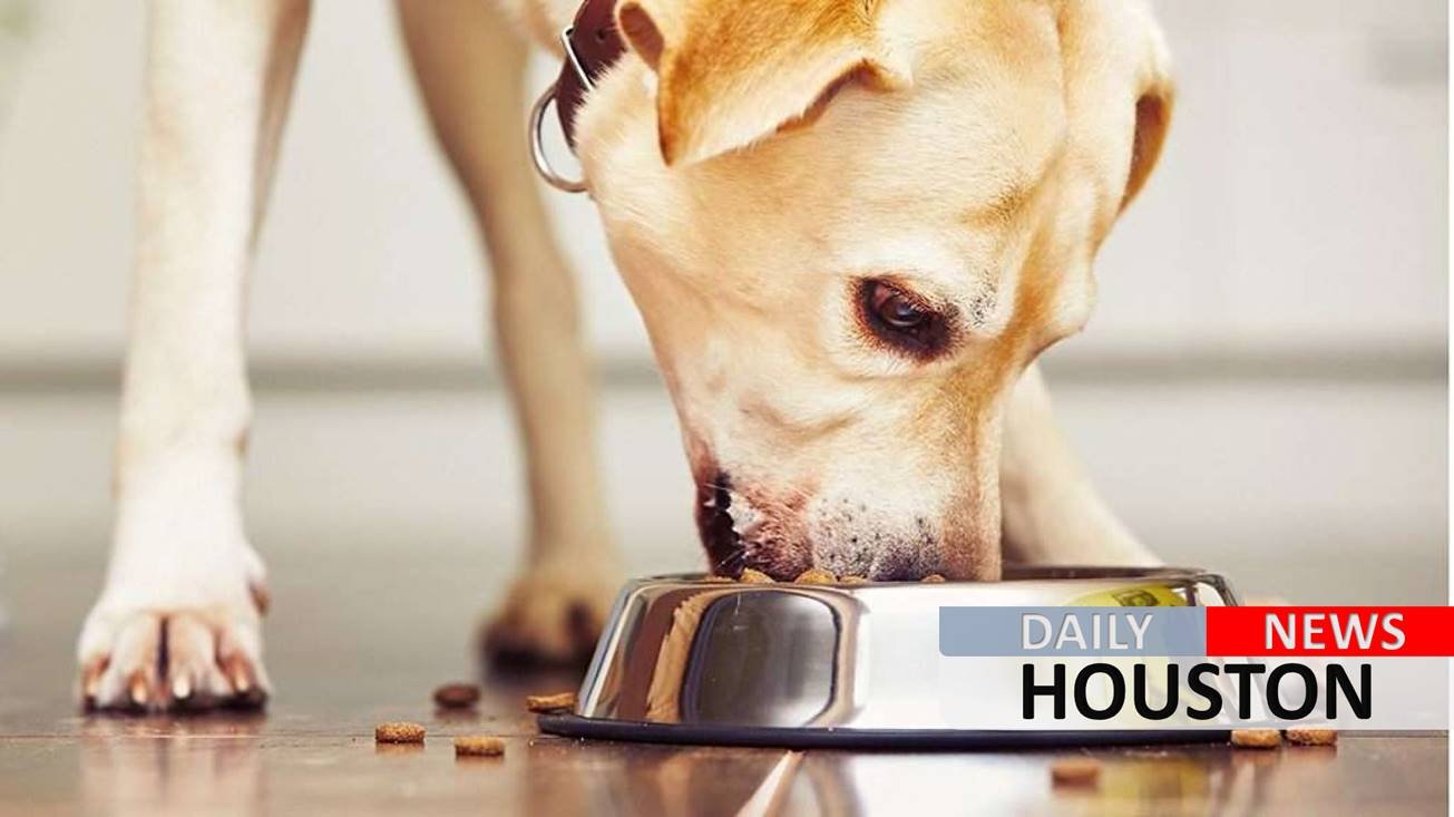 Select canned dog food recalled over vitamin D levels