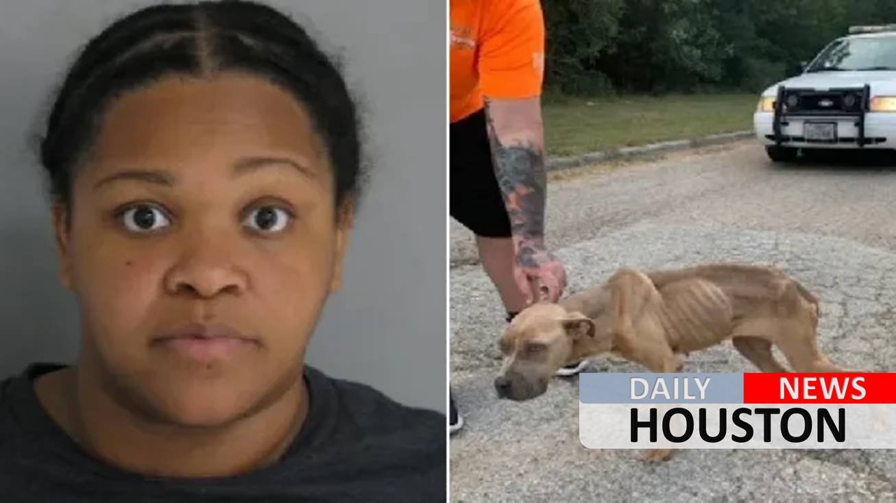 Woman accused of throwing malnourished puppy out of car window