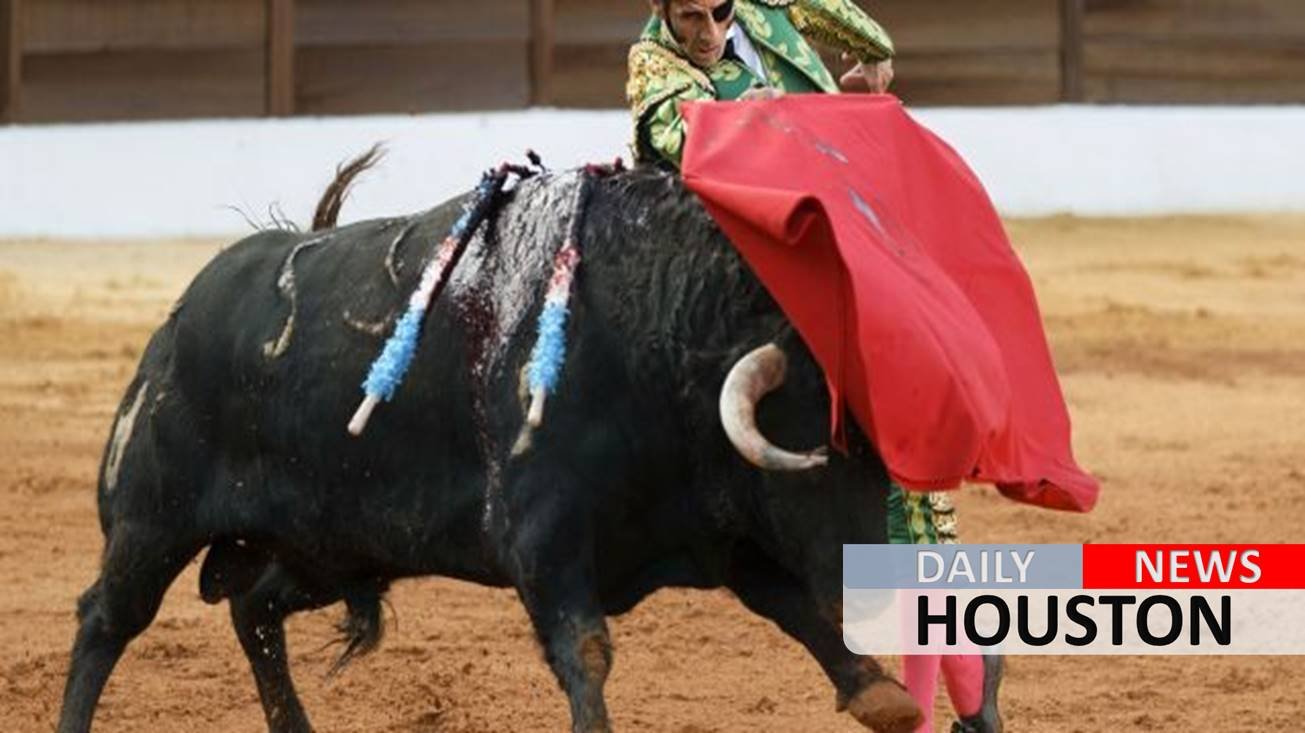 First bullfight in 2 years to take place in Majorca after Spanish court overturns ban
