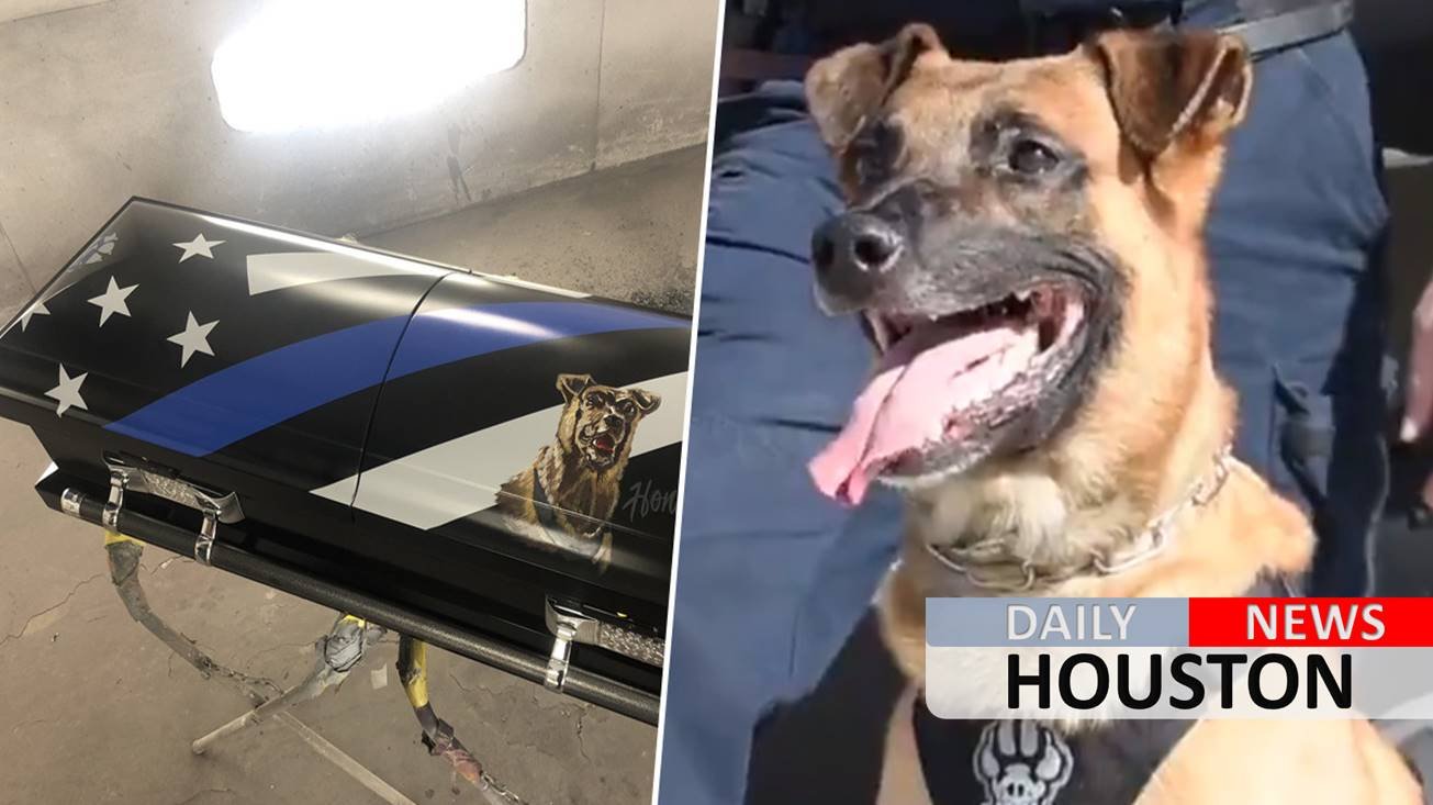 Police dog killed in line of duty to be honored with custom painted casket