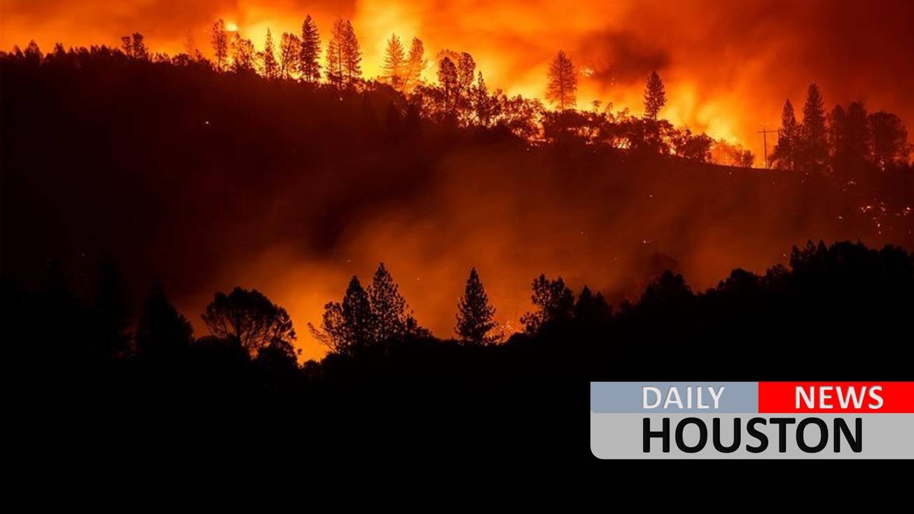 At least 29 confirmed dead in Northern California wildfire