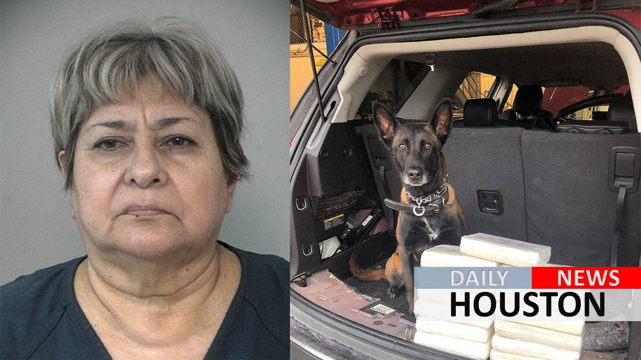 Woman arrested after police find 14 kilos of cocaine during traffic stop